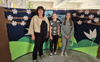 Županijsko natjecanje mladih tehničara