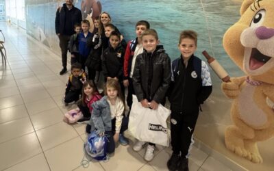 Škola plivanja Sportske grupe